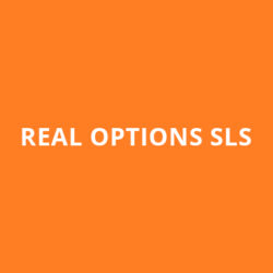 1-Year Real Options SLS License